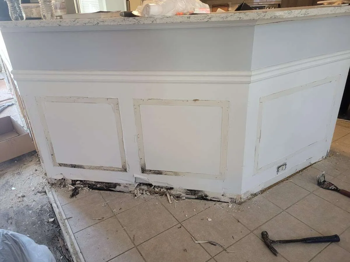 Water damage and mold on kitchen during Sewage Cleanup & Sanitation in Grosse Pointe